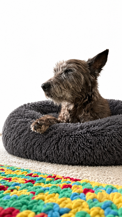 CloudNest™ Calming Dog Bed