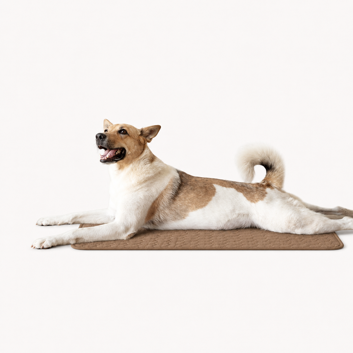 CoolPaw™ Koelmat