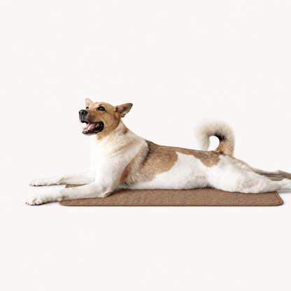 CoolPaw™ Koelmat