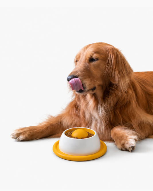 Interactieve Lick Bowl®