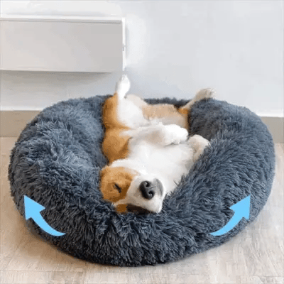 &nbsp; Sleeping on a Cloud. &nbsp; &nbsp; &nbsp; Built for