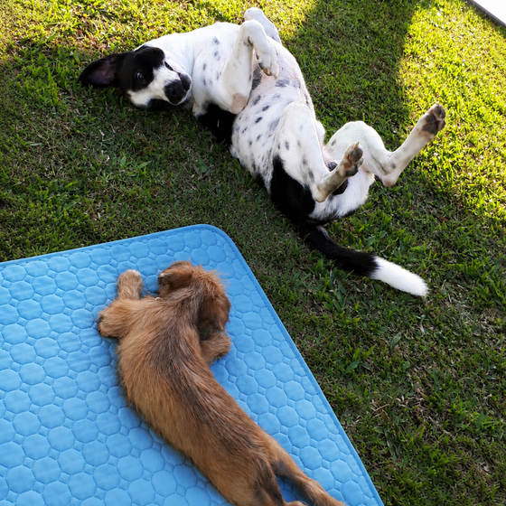 Biscuit & Dot, gebruiken samen maat XL.